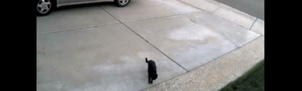 WiLife Evaluation and&nbsp;Review