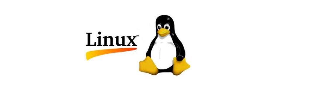Linux H.323 Video Conferencing