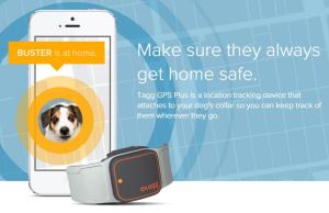 gps pet tracker