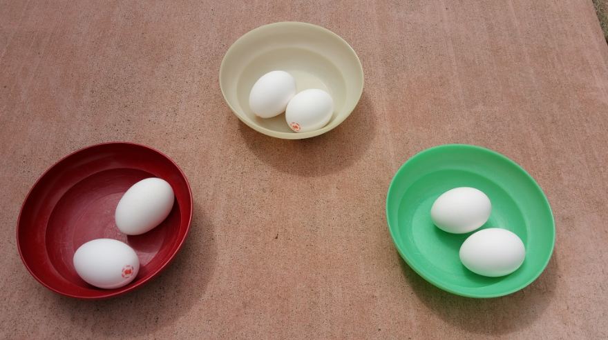 Diversify Your Telephone, Cell Phone & Internet Services