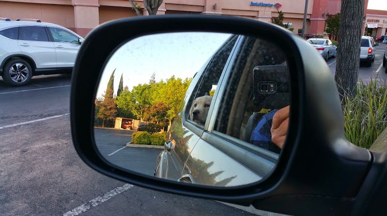 Cameras on Smartphones: Photography for Everyone