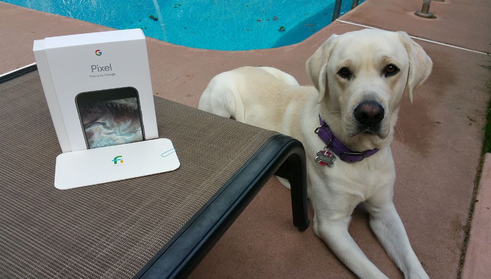 Pixel XL vs Samsung Galaxy Note 4: Camera&nbsp;Comparision