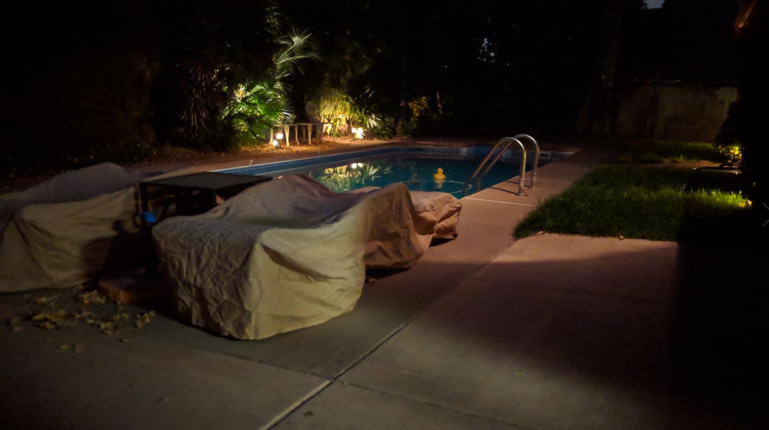 backyard no night sight