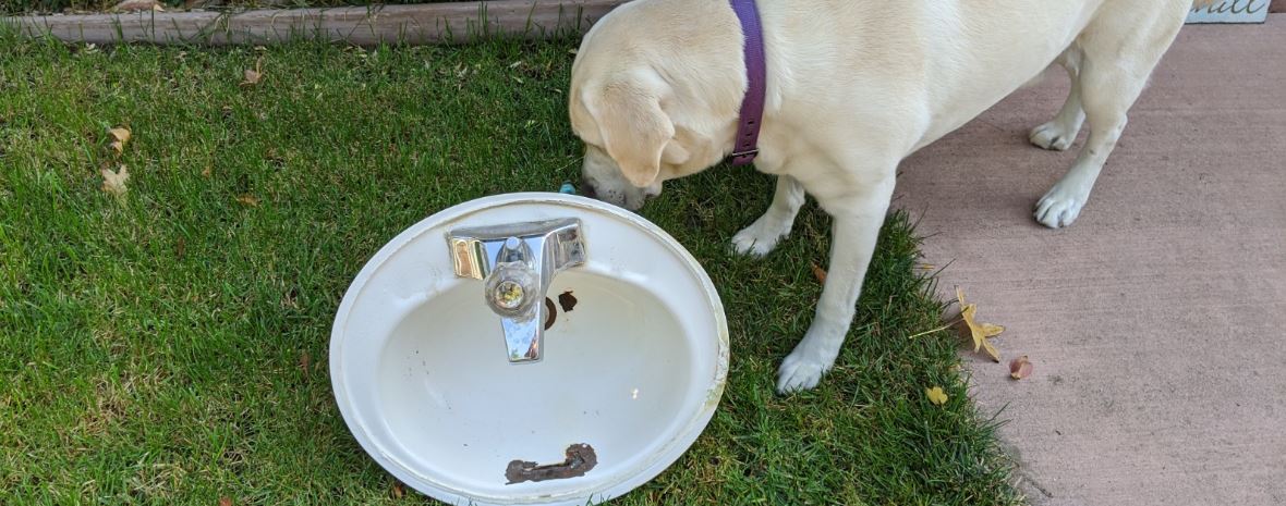 Installing a New Sink, Faucet, and Shut off Valves
