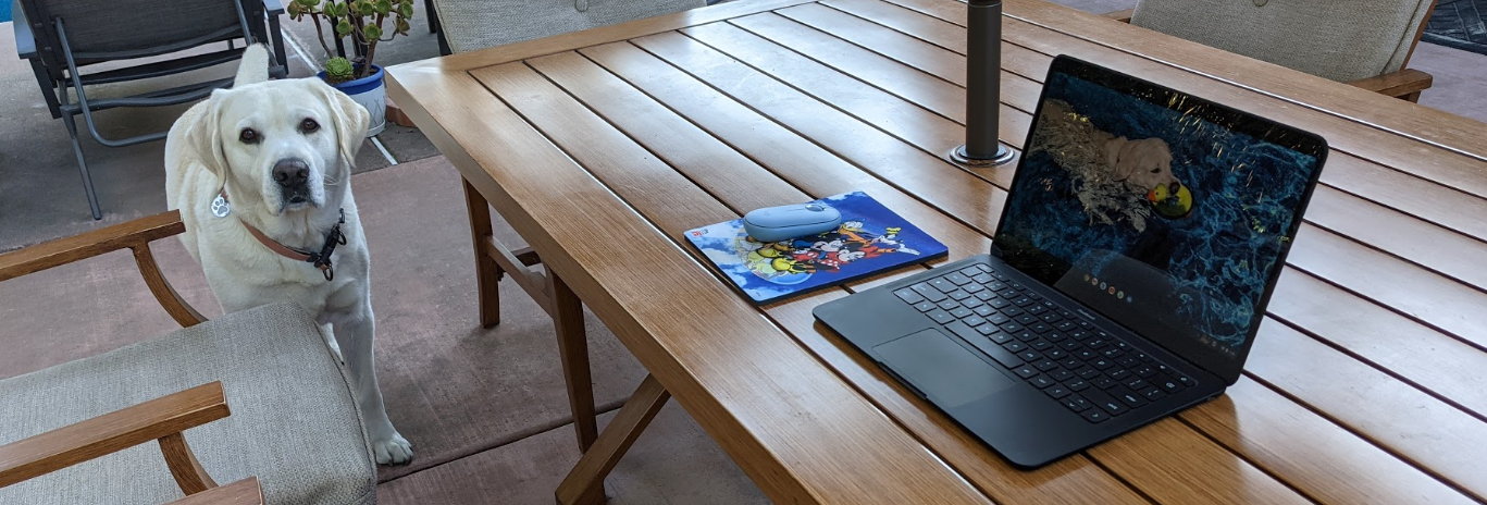 Telecommuters / Remote Workers: Which is more valuable to you? Money or Time?